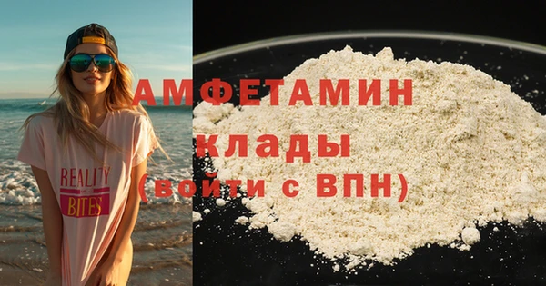 прущие грибы Балахна