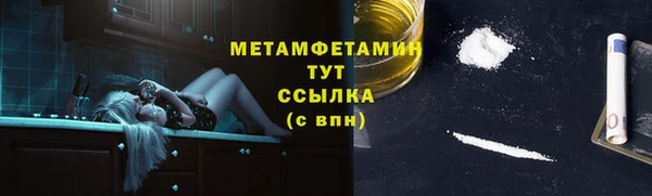 прущие грибы Балахна