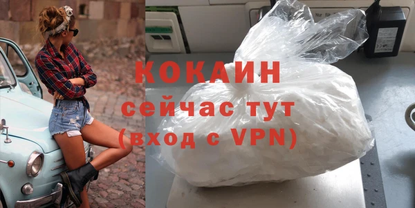 прущие грибы Балахна