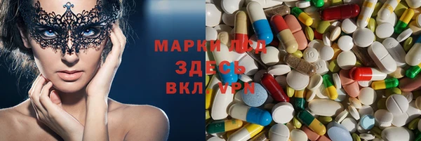 прущие грибы Балахна