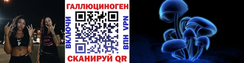 Купить закладки  Певек  Псилоцибиновые грибы Cubensis 